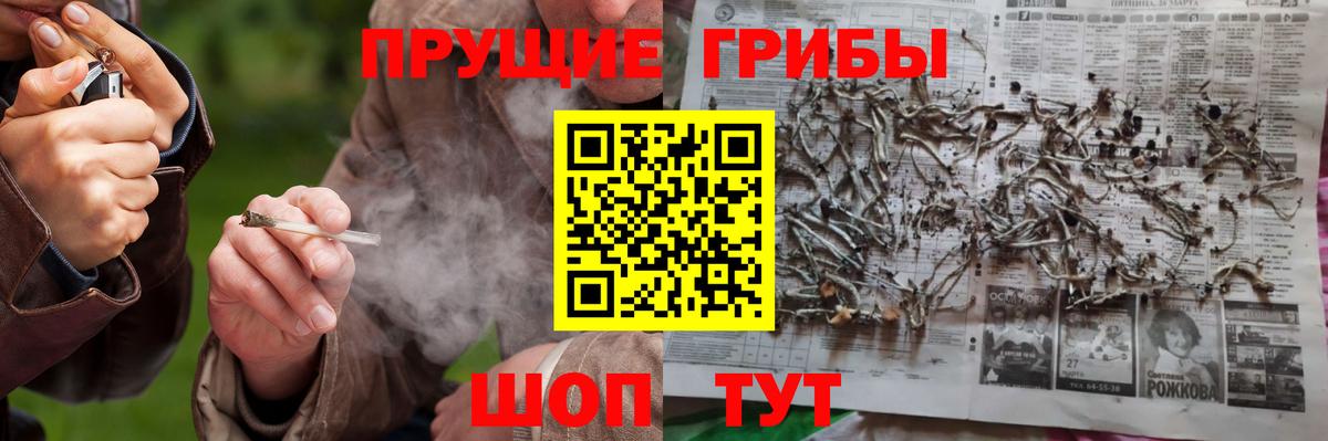 Псилоцибиновые грибы прущие грибы  Вход с VPN  Галлюциногенные грибы Psilocybine cubensis  Семёнов 
